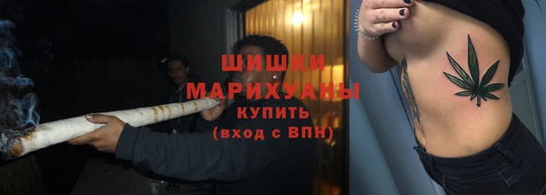 крисы Аркадак