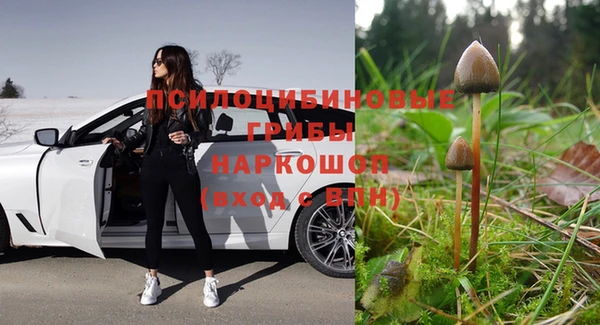 mix Армянск