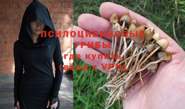 крисы Аркадак