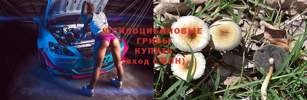 mix Армянск