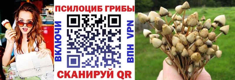 наркота  Перевоз  Псилоцибиновые грибы мицелий 